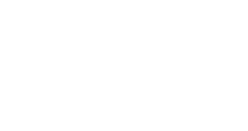 Palm Views - White